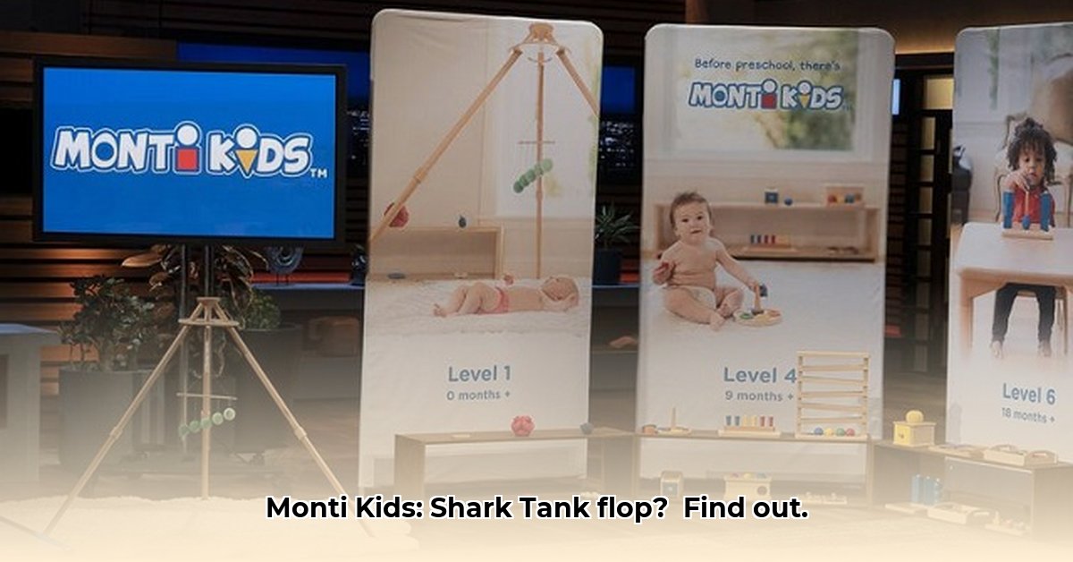 monti-kids-net-worth